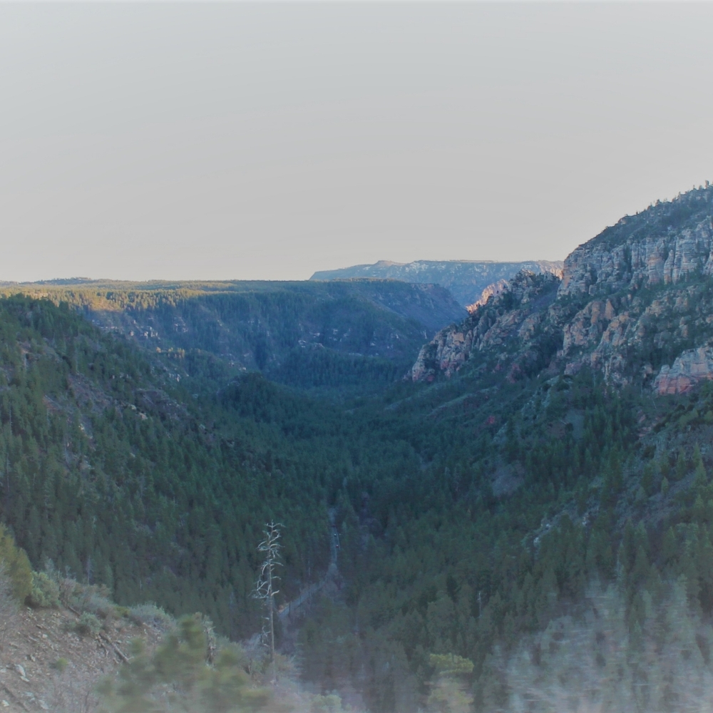 Make Me An Offer!❤️